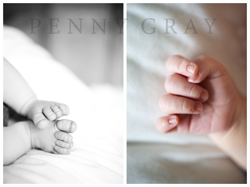 2014-03-05_0069.jpg 2014-03-05_0069.jpg