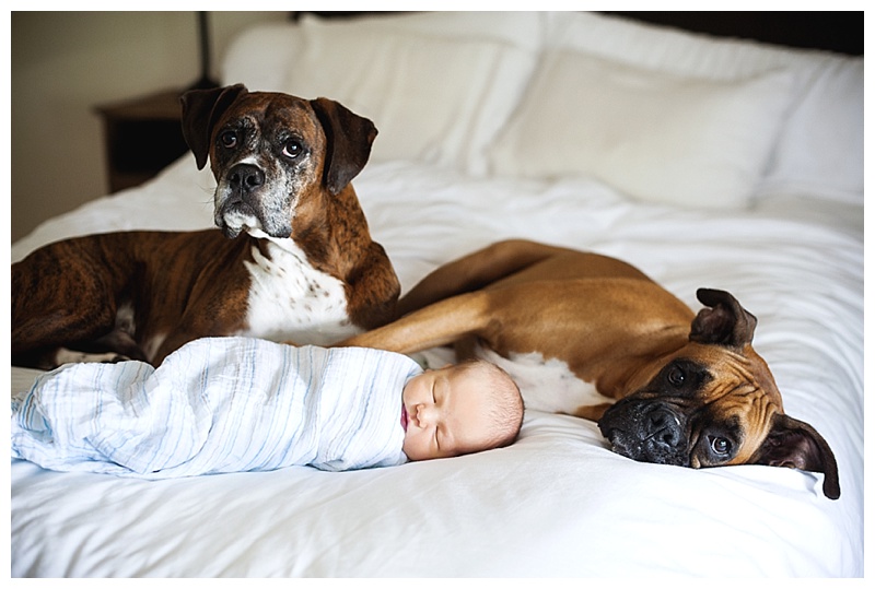 2014-07-31_0012.jpg 2014-07-31_0012.jpg