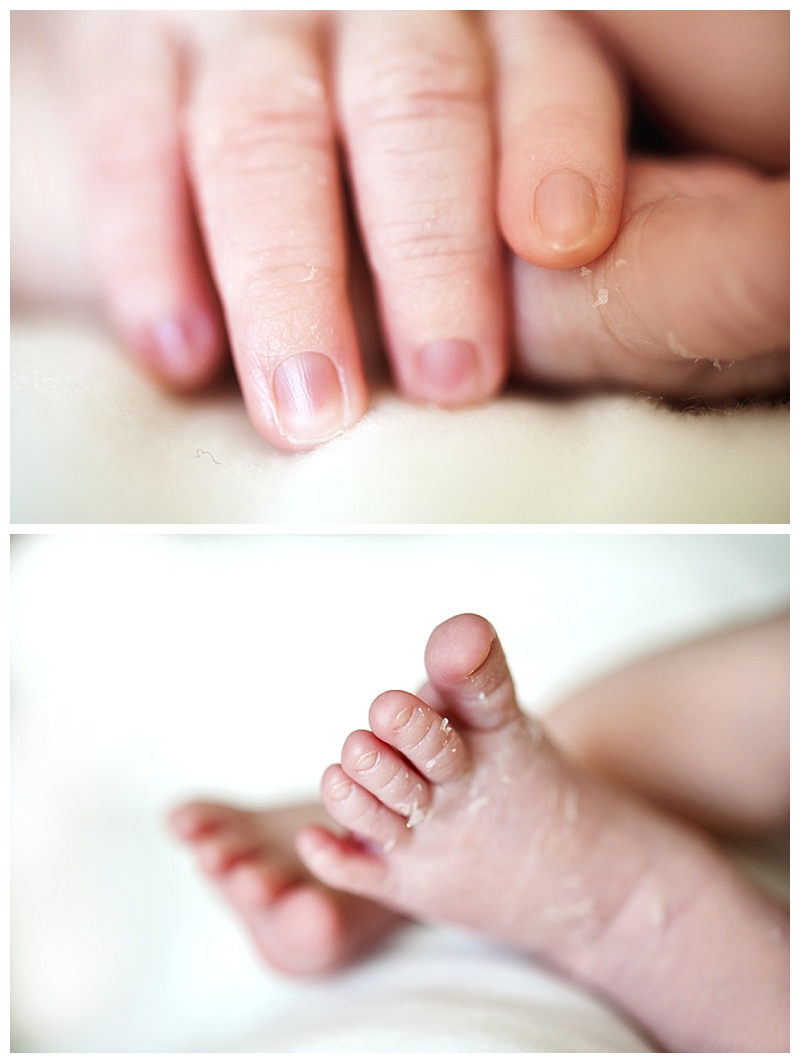 2014-08-01_0015.jpg 2014-08-01_0015.jpg