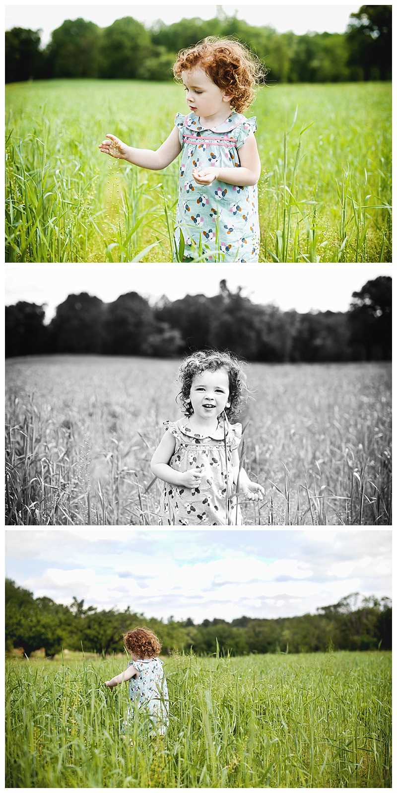 2014-08-11_0041.jpg 2014-08-11_0041.jpg