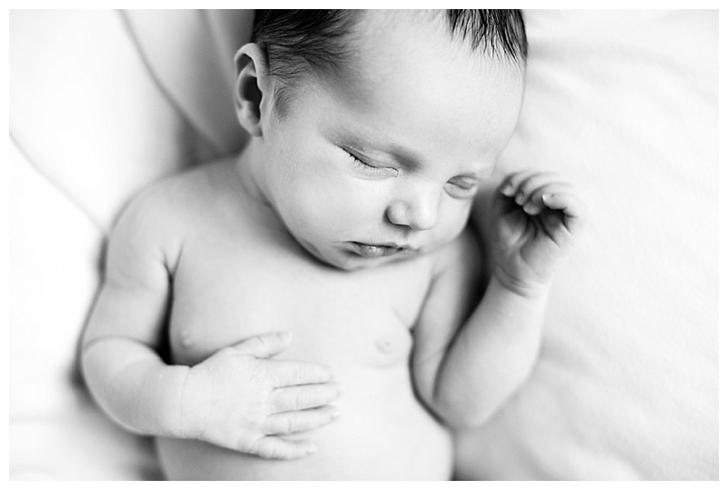 2015-02-19_0062.jpg 2015-02-19_0062.jpg