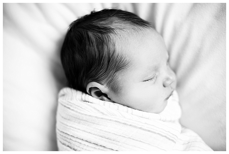 2015-02-19_0065.jpg 2015-02-19_0065.jpg