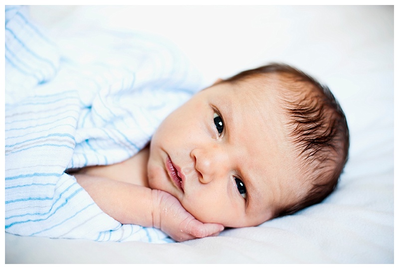 2015-02-19_0066.jpg 2015-02-19_0066.jpg