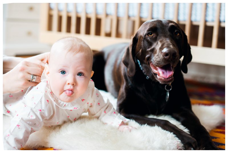 2016-04-20_0008.jpg 2016-04-20_0008.jpg