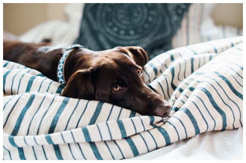 2016-04-20_0016.jpg 2016-04-20_0016.jpg