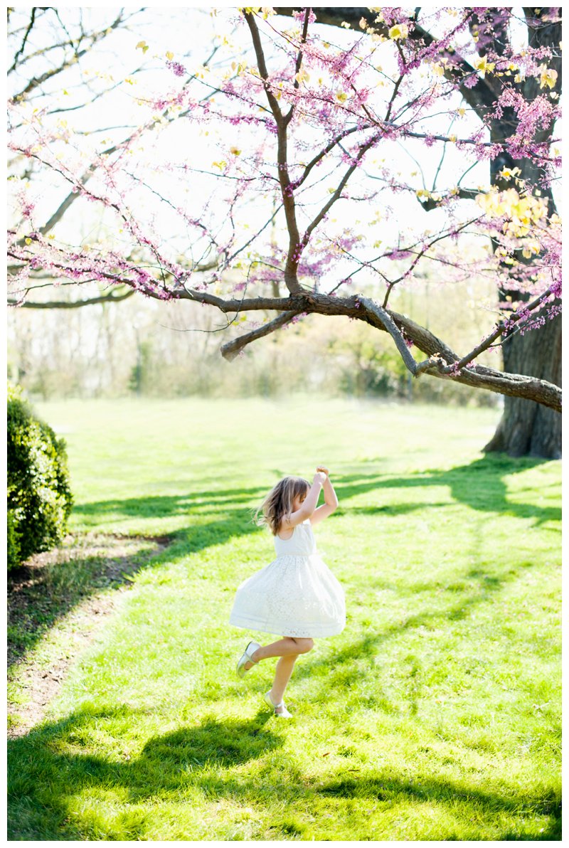 2016-05-31_0012.jpg 2016-05-31_0012.jpg