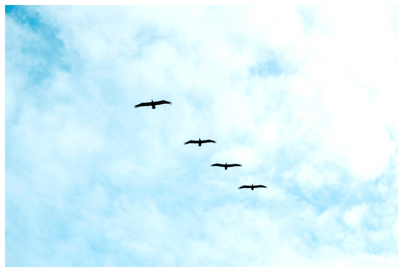 2016-06-01_0001.jpg 2016-06-01_0001.jpg