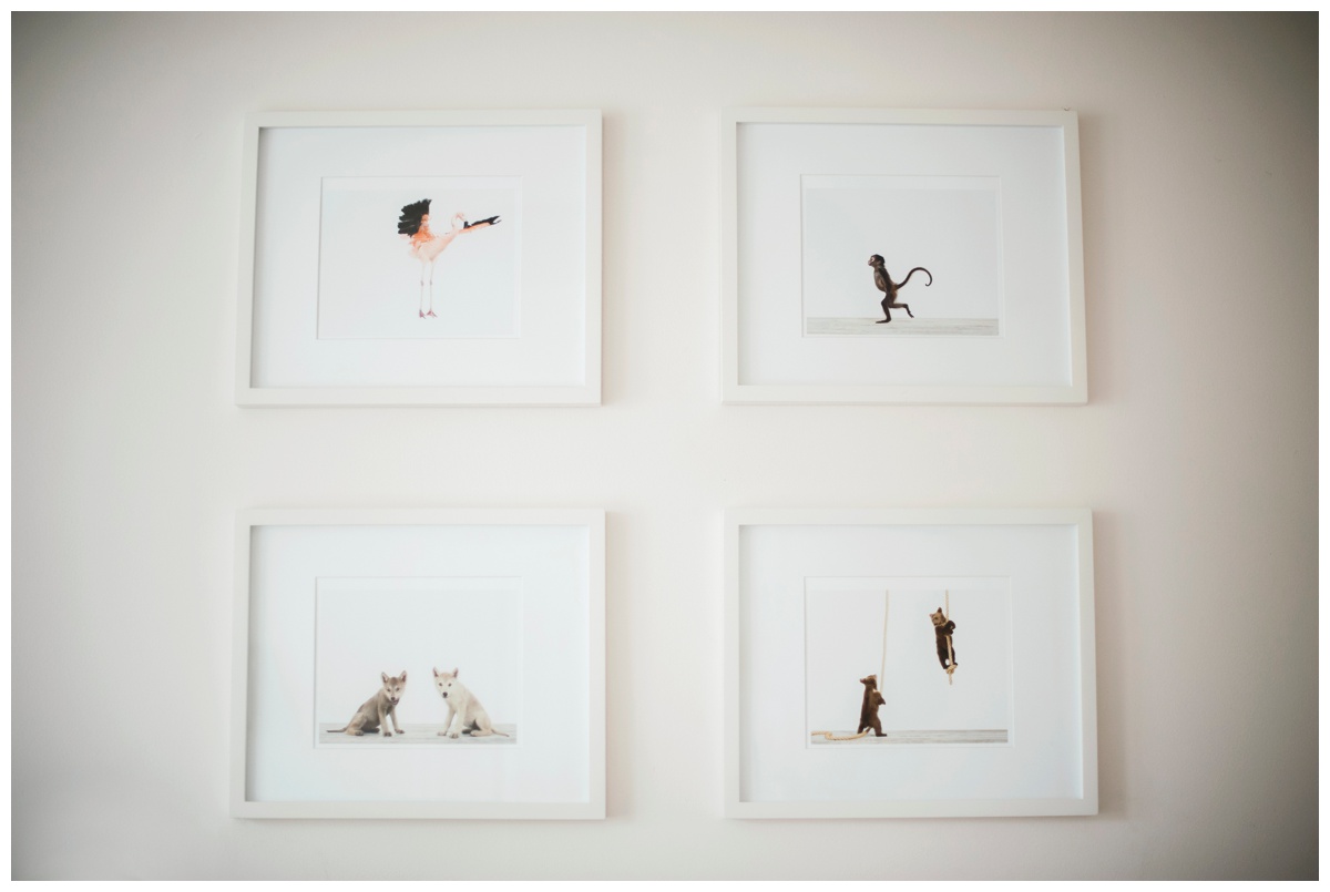 scarlett01.jpg scarlett01.jpg