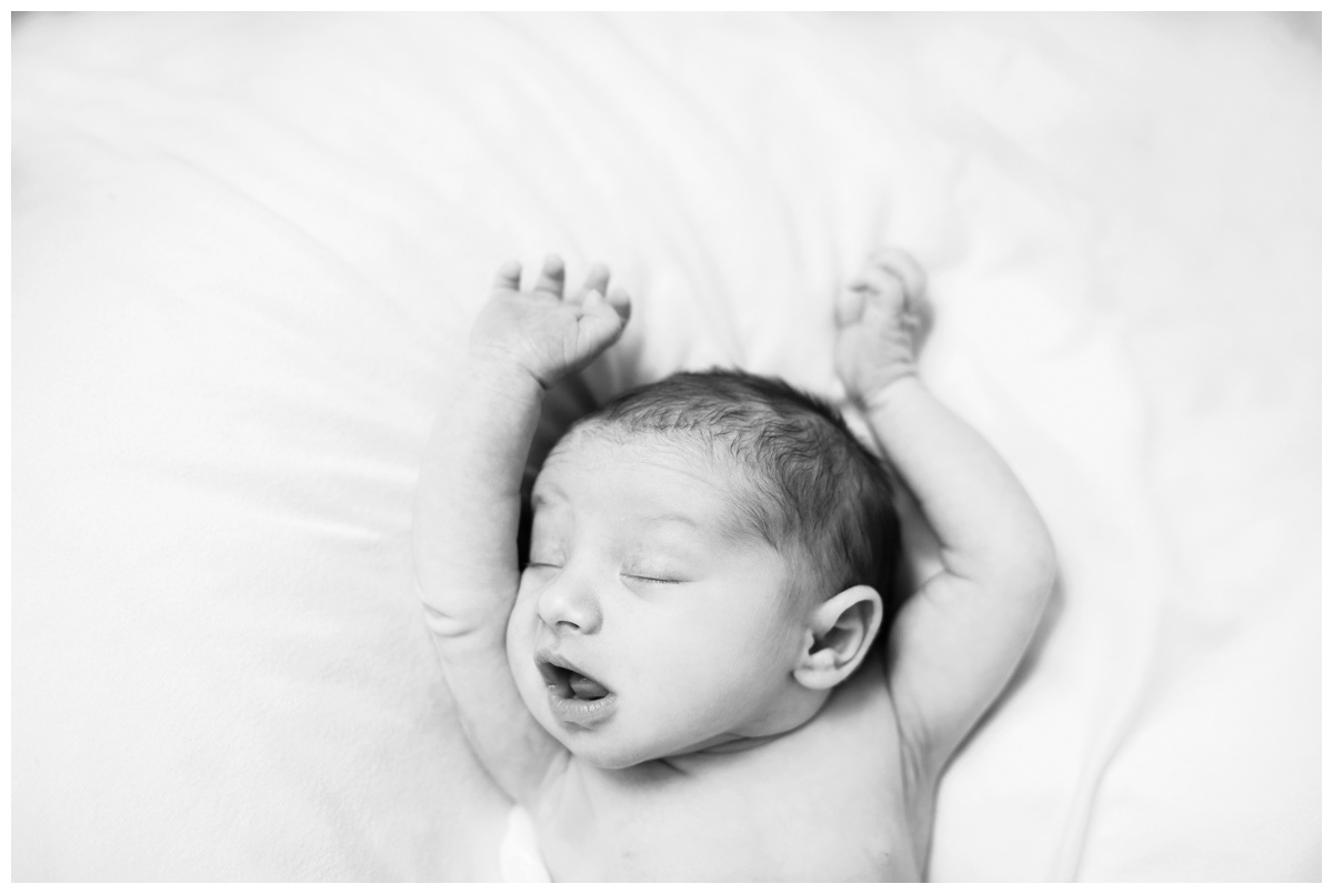 scarlett54bw.jpg scarlett54bw.jpg