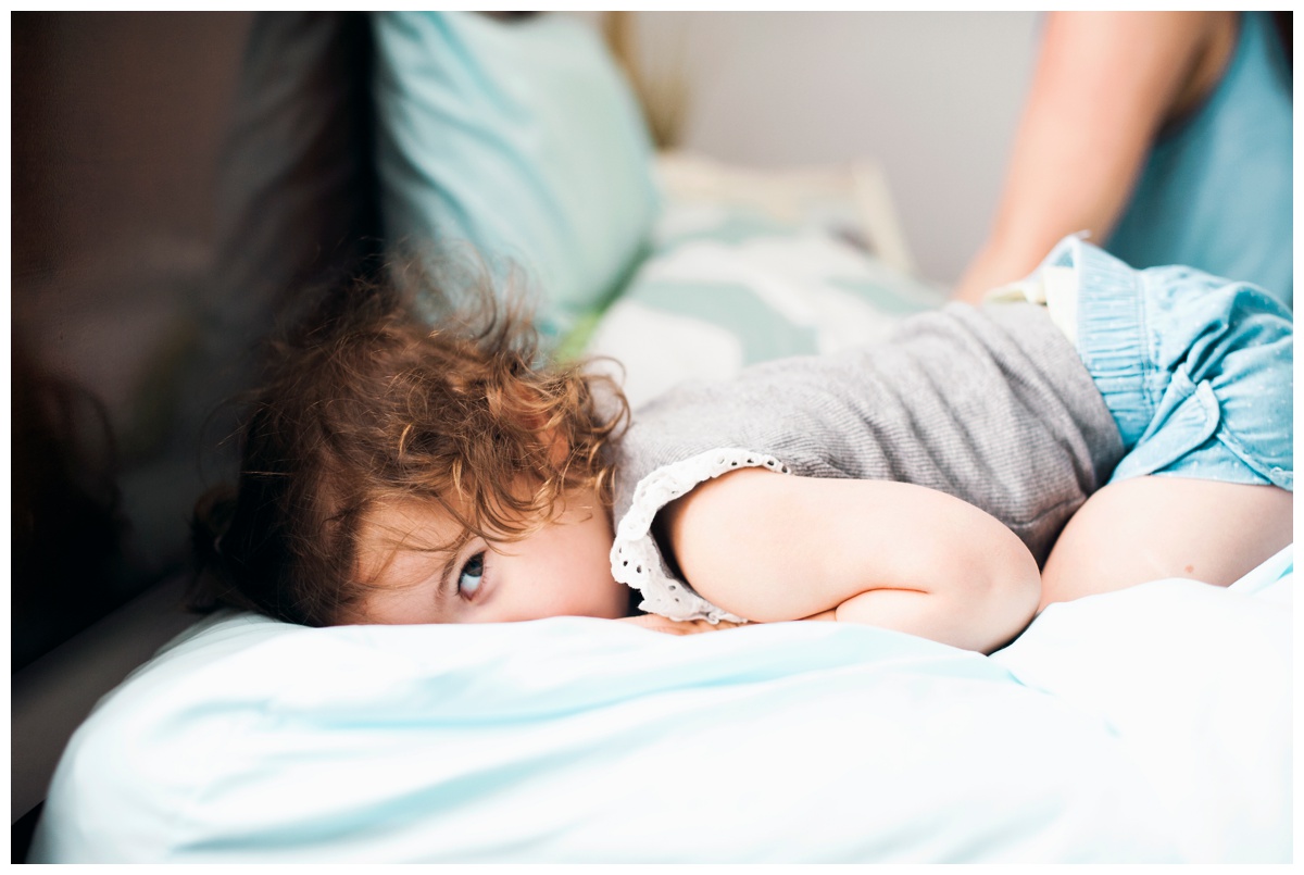 replogle11.jpg replogle11.jpg