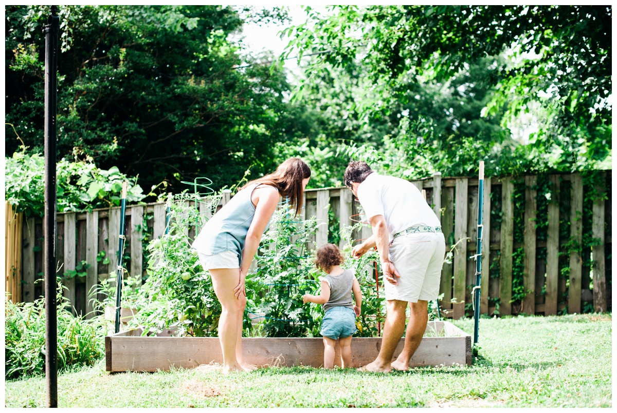 replogle54.jpg replogle54.jpg