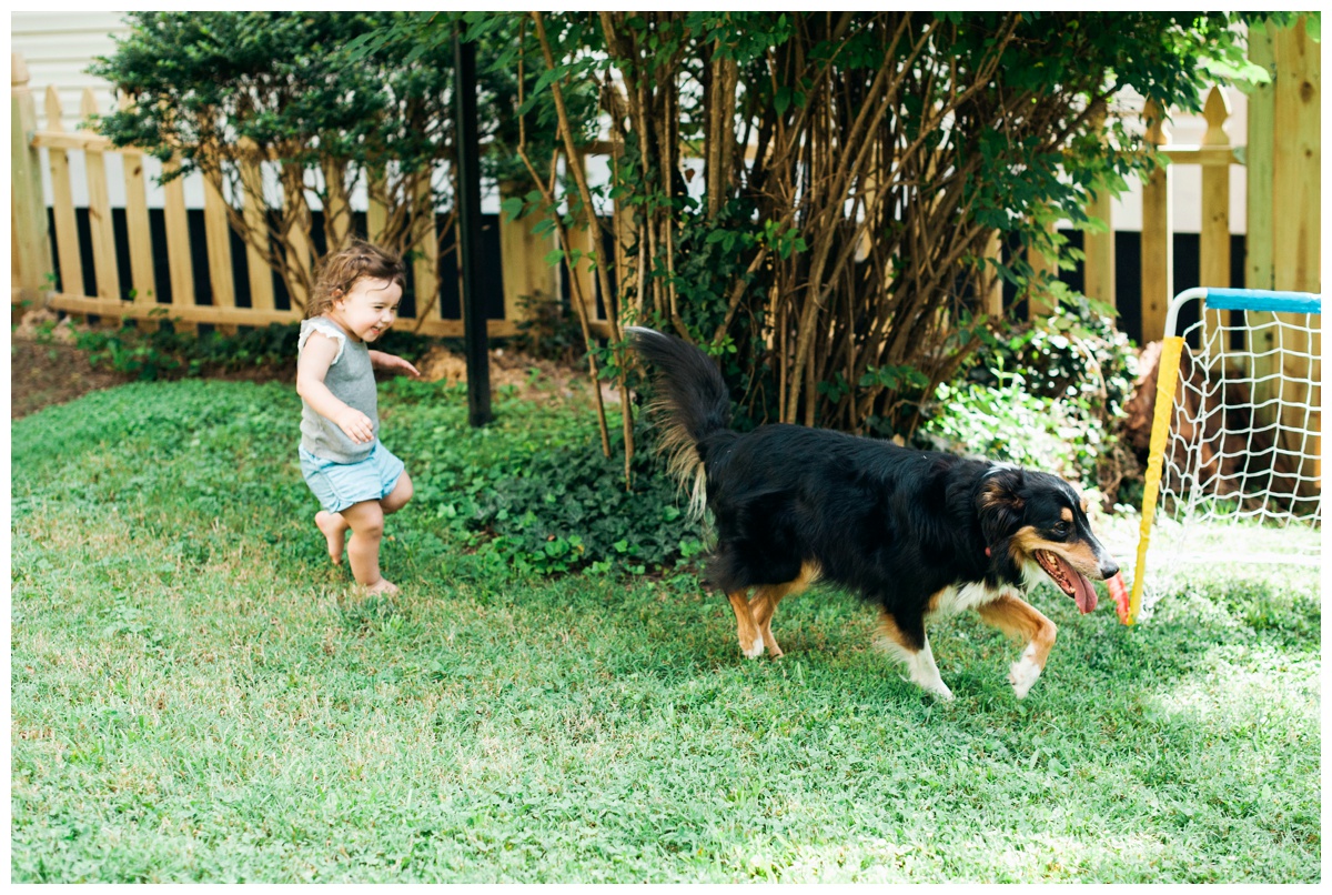 replogle68.jpg replogle68.jpg