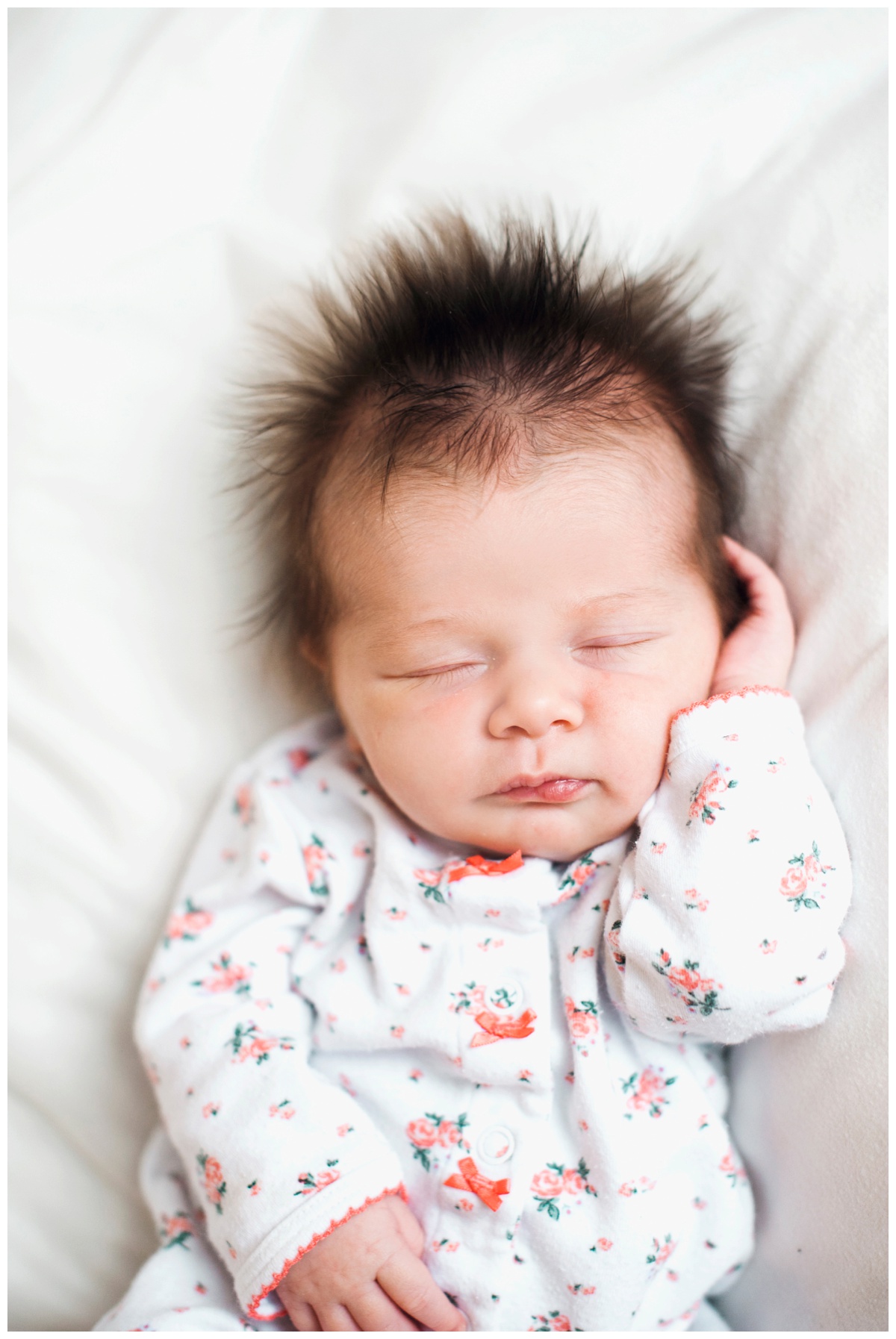 annie02.jpg annie02.jpg