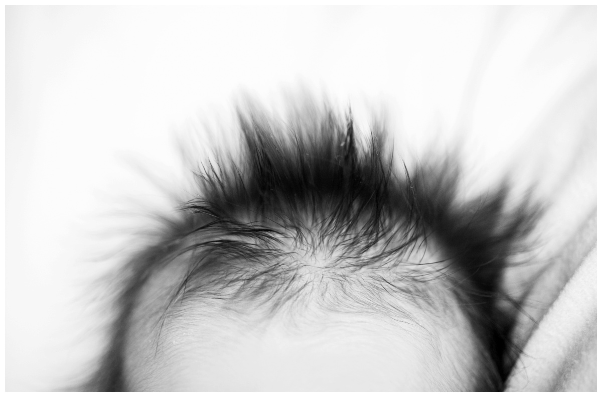 annie10bw.jpg annie10bw.jpg