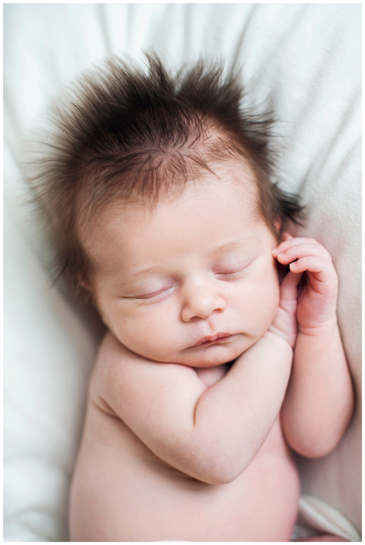 annie15.jpg annie15.jpg