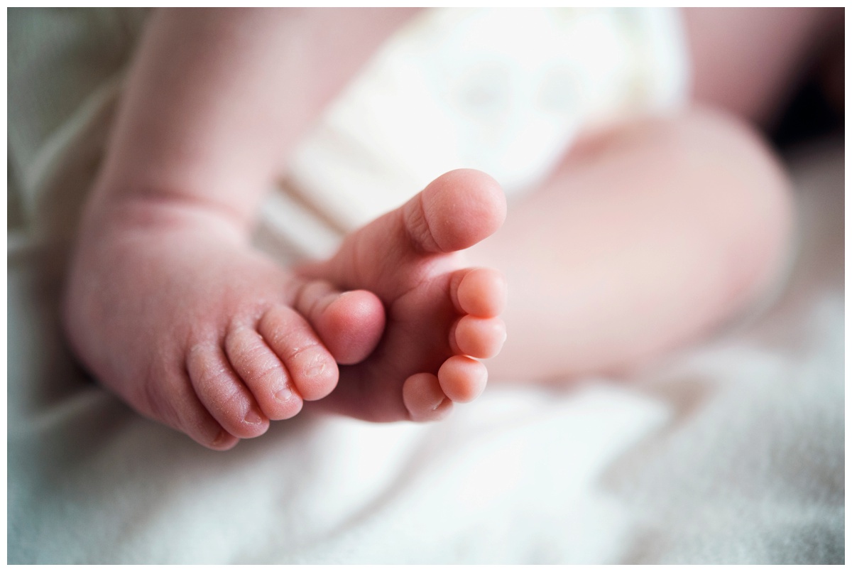 annie16.jpg annie16.jpg