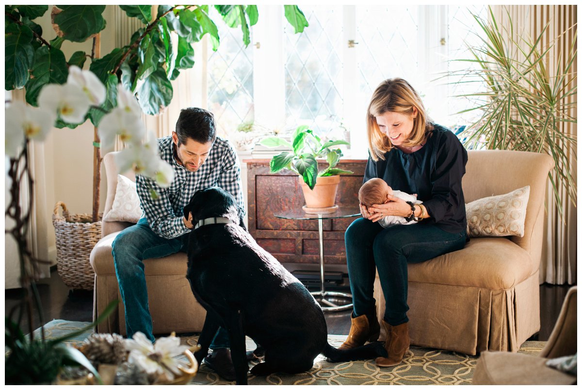 2017-01-04_0001.jpg 2017-01-04_0001.jpg