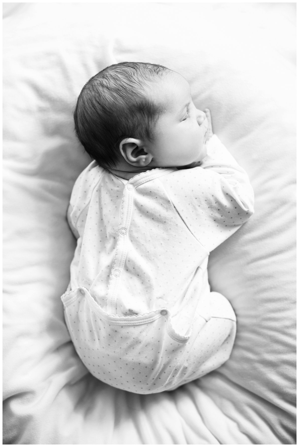 2017-01-04_0013.jpg 2017-01-04_0013.jpg