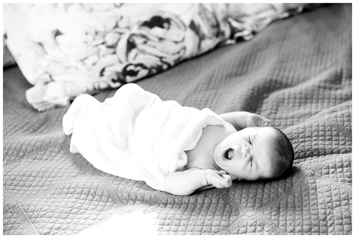 2017-01-04_0019.jpg 2017-01-04_0019.jpg