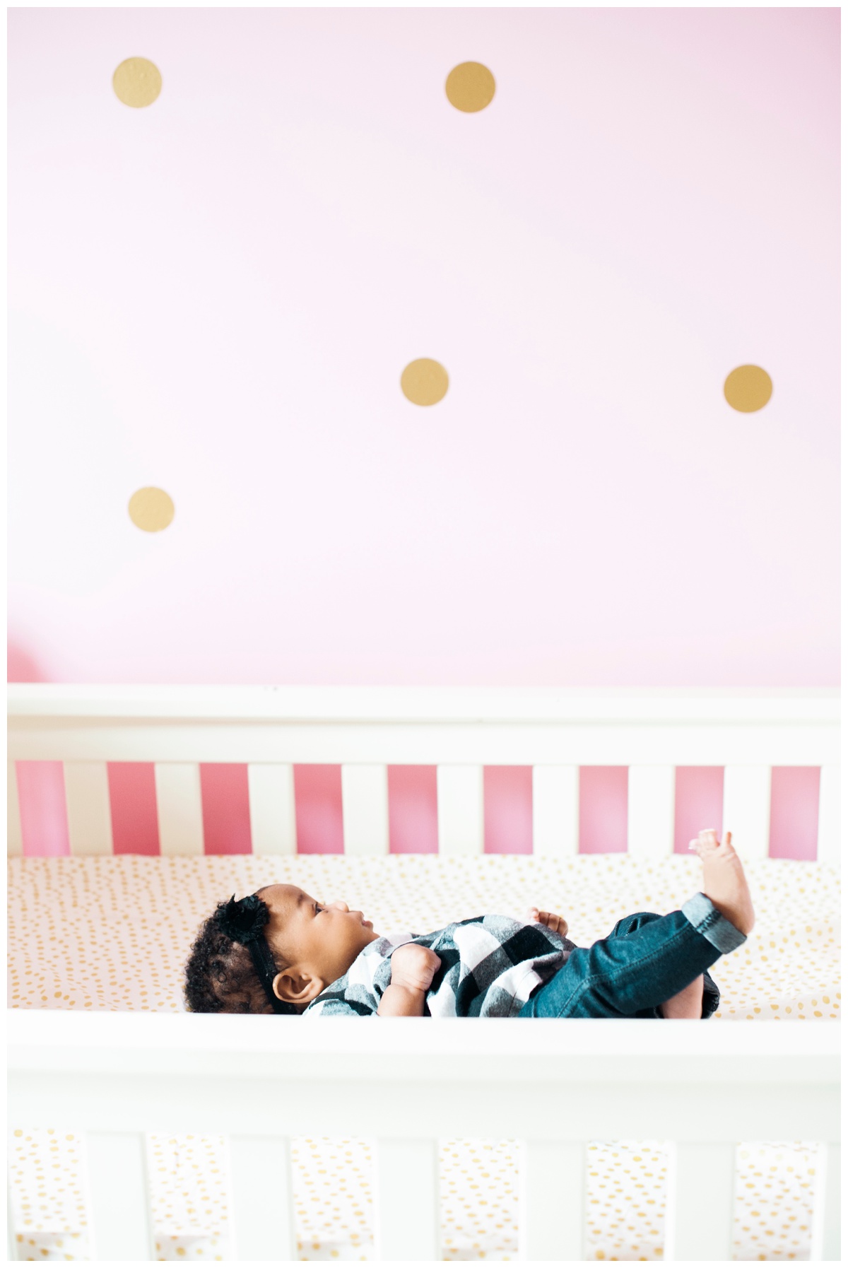 johnson03.jpg johnson03.jpg