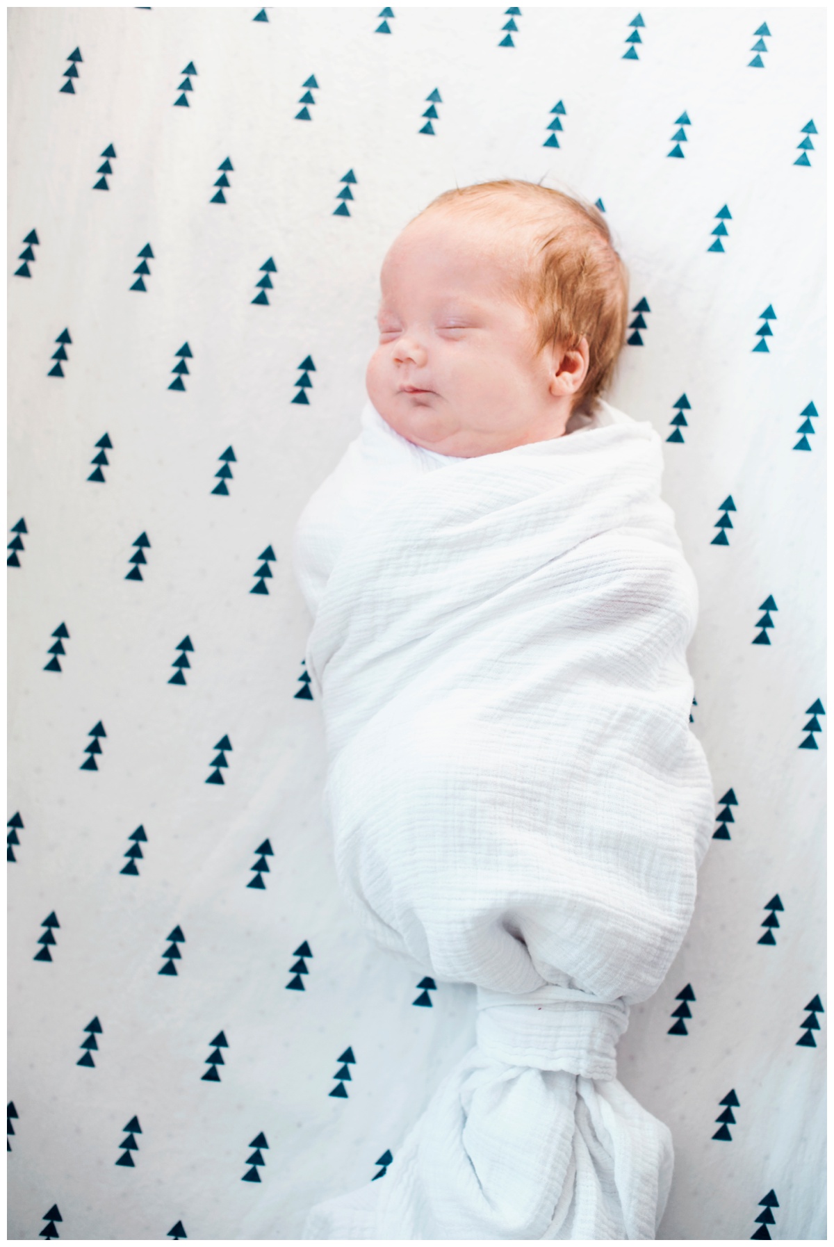 margot14.jpg margot14.jpg