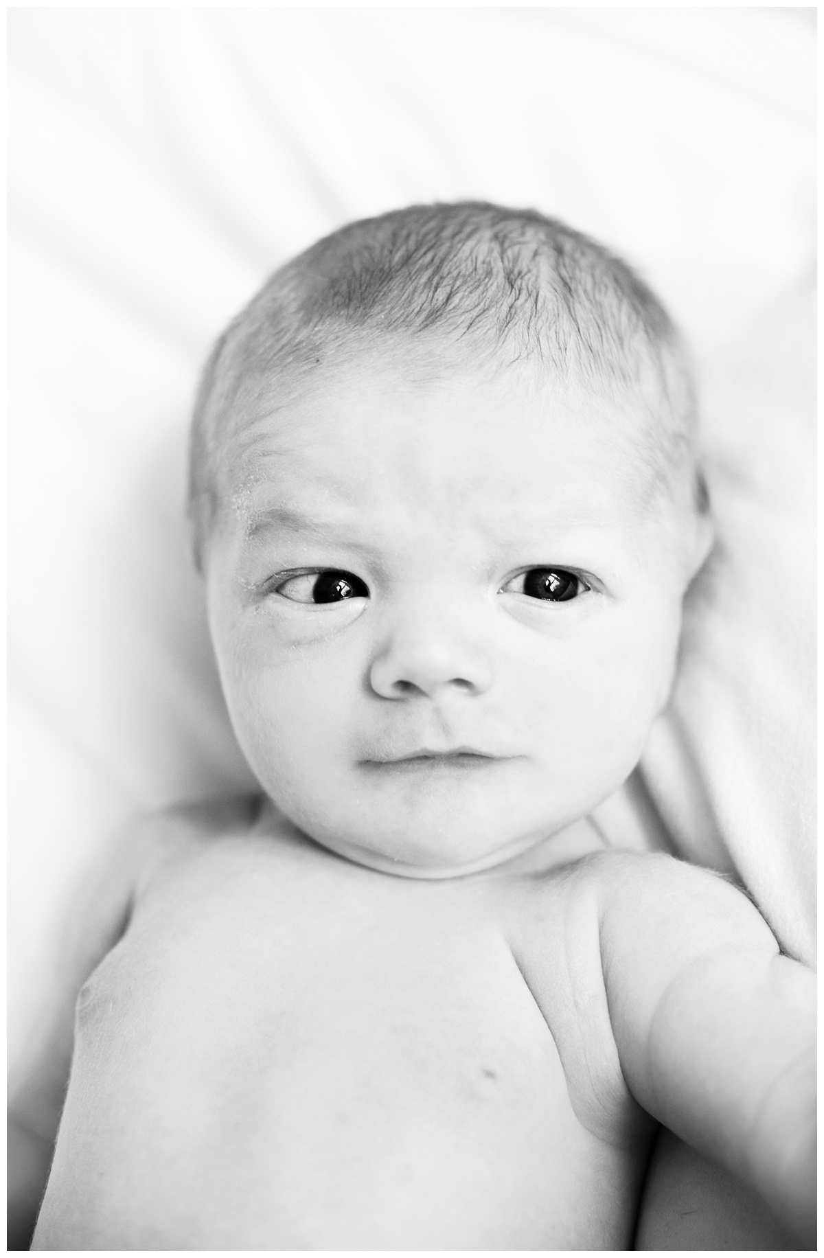 nico38bw.jpg nico38bw.jpg