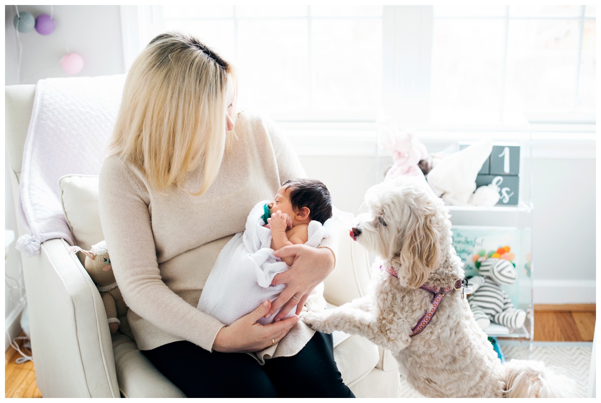 louisa02.jpg louisa02.jpg