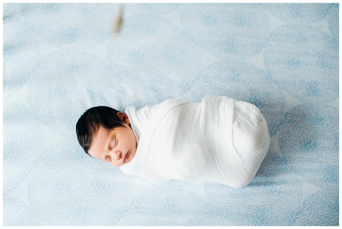 louisa17.jpg louisa17.jpg