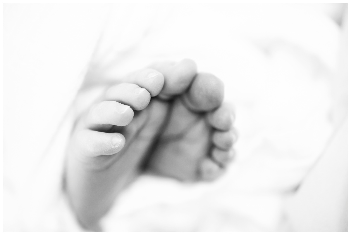 scarlett39bw.jpg scarlett39bw.jpg