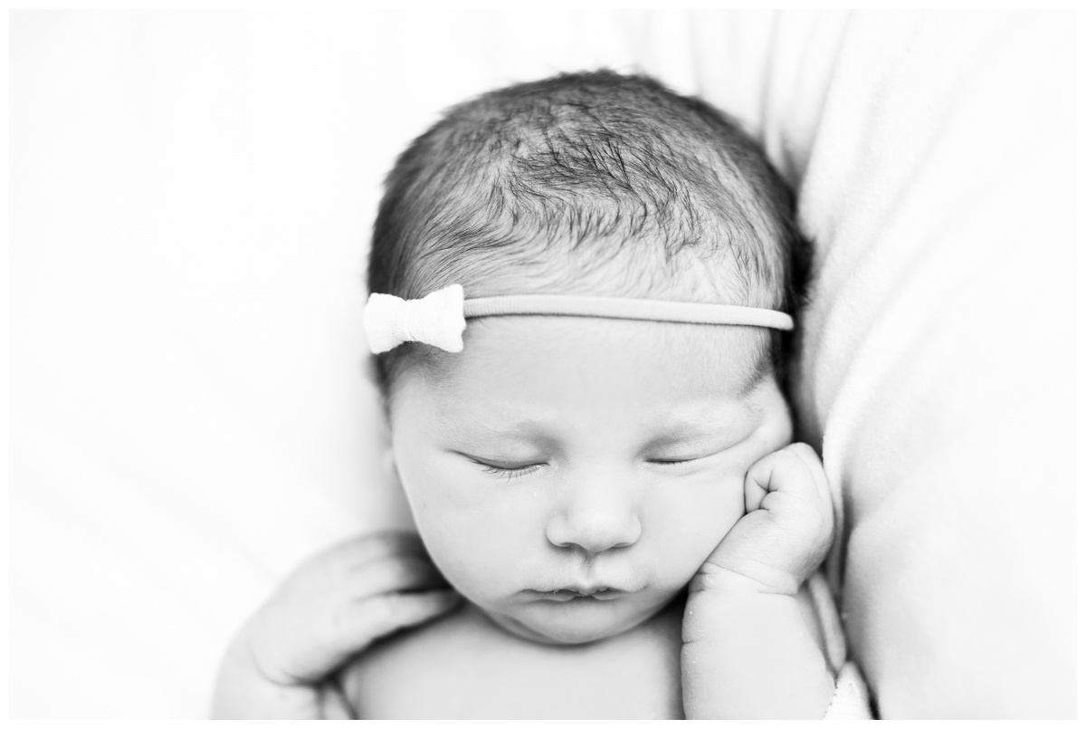 scarlett52bw.jpg scarlett52bw.jpg