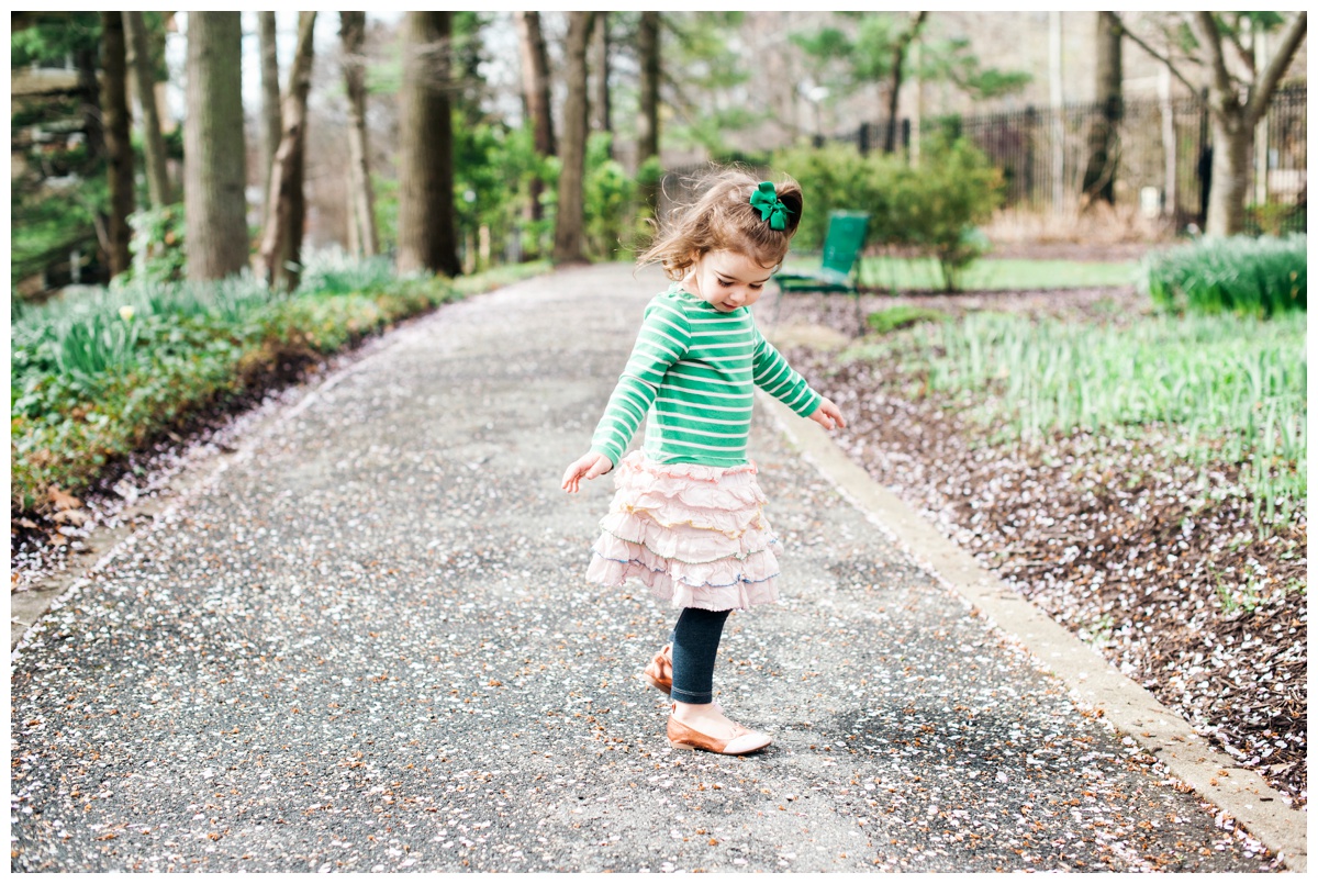 replogle357.jpg replogle357.jpg