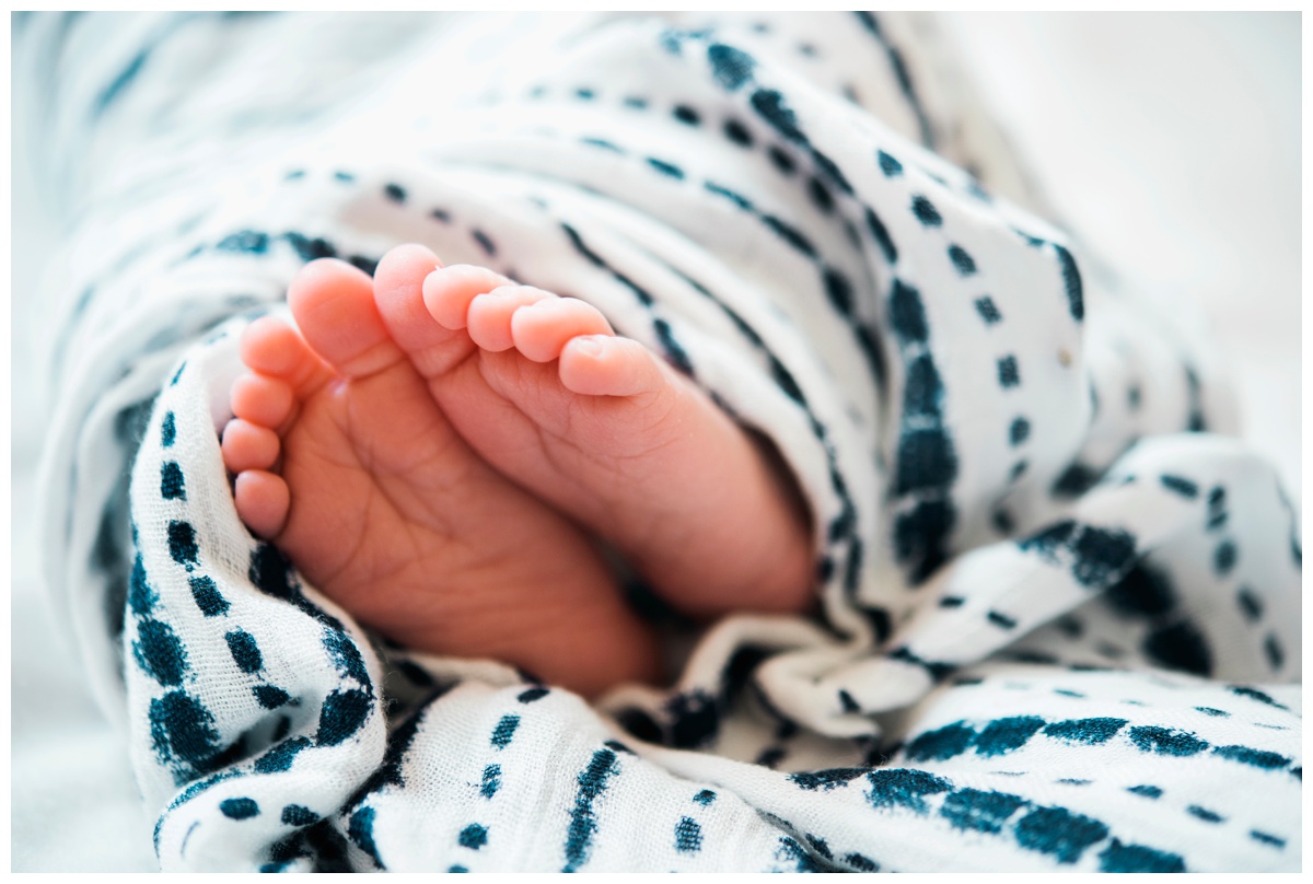 2017-07-25_0016.jpg 2017-07-25_0016.jpg