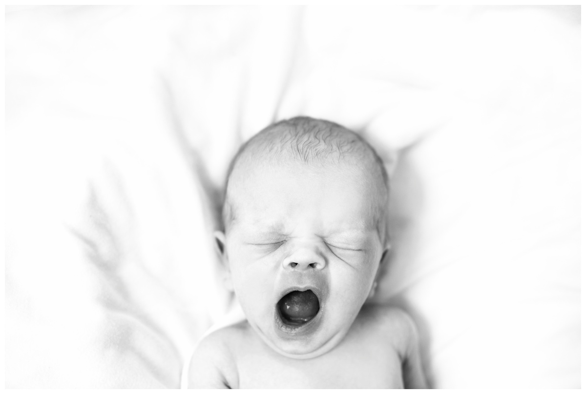 2017-07-25_0021.jpg 2017-07-25_0021.jpg