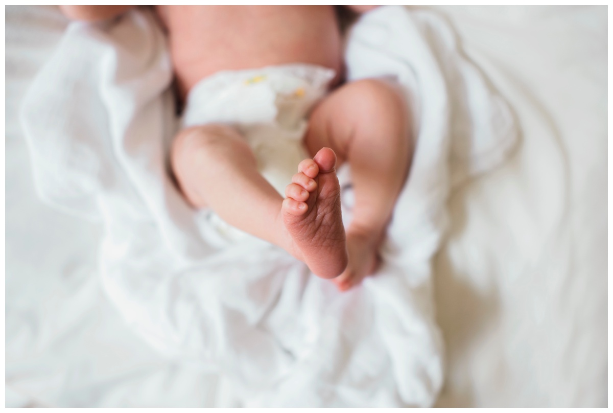 2017-07-25_0022.jpg 2017-07-25_0022.jpg