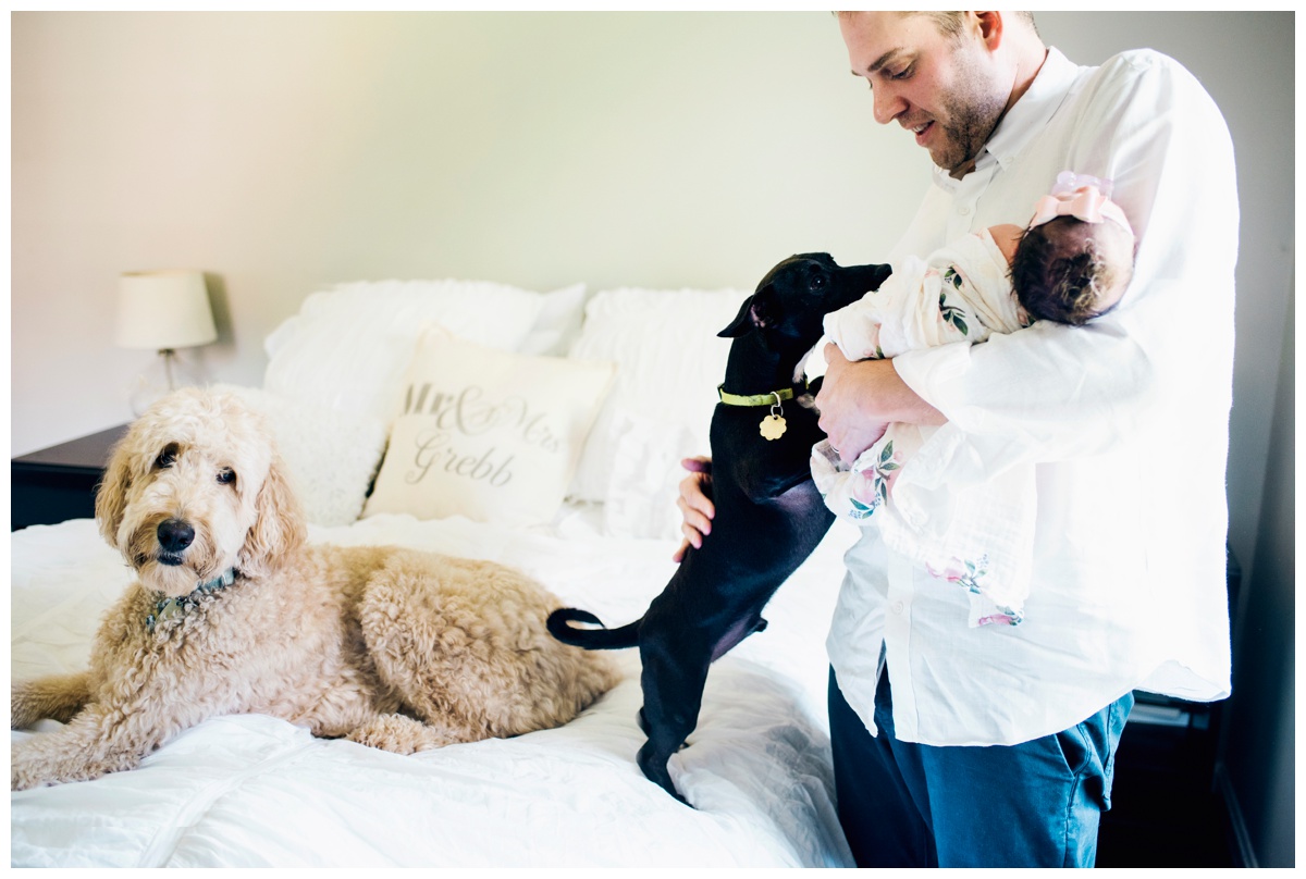 2017-08-17_0009.jpg 2017-08-17_0009.jpg