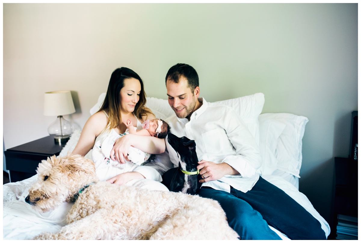 2017-08-17_0010.jpg 2017-08-17_0010.jpg