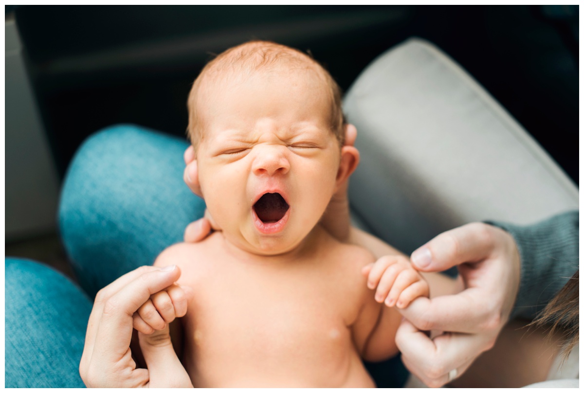 2018-05-02_0017.jpg 2018-05-02_0017.jpg