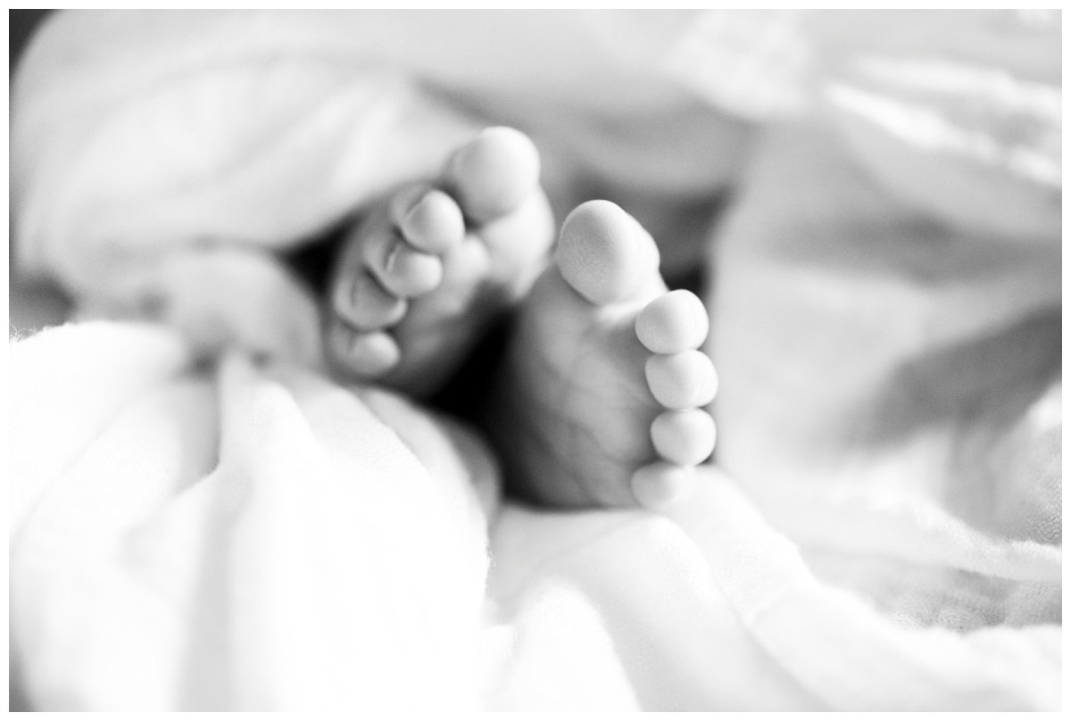 2019-01-28_0004.jpg 2019-01-28_0004.jpg