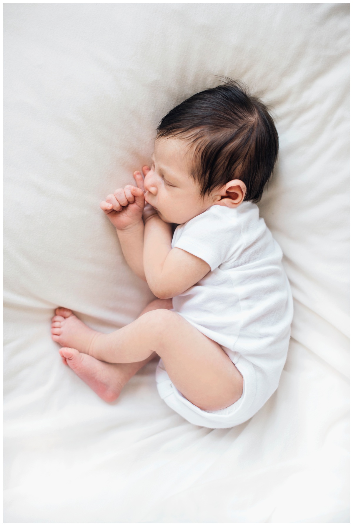 2019-02-09_0017.jpg 2019-02-09_0017.jpg