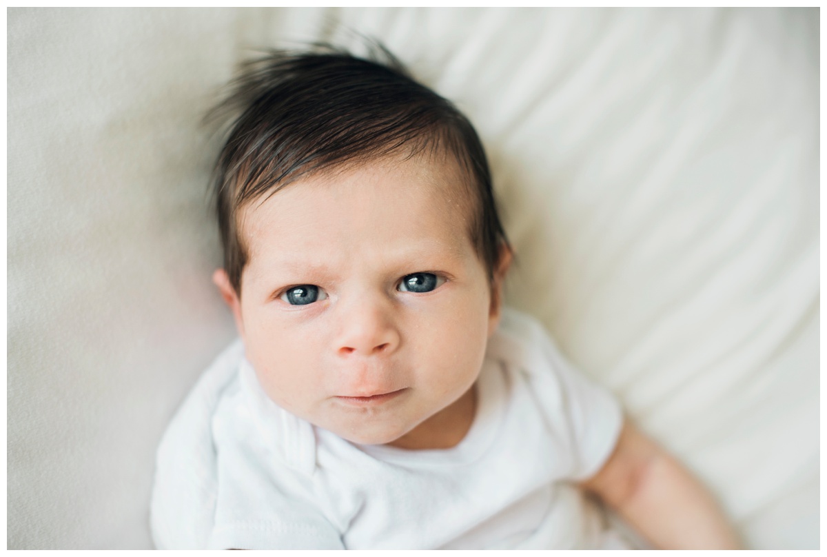 2019-02-09_0021.jpg 2019-02-09_0021.jpg