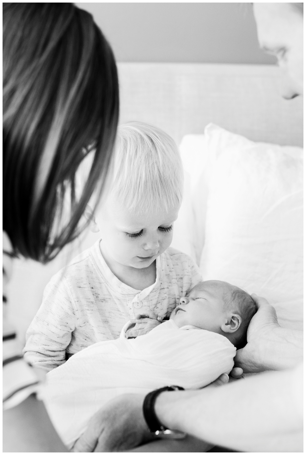 2019-02-09_0028.jpg 2019-02-09_0028.jpg