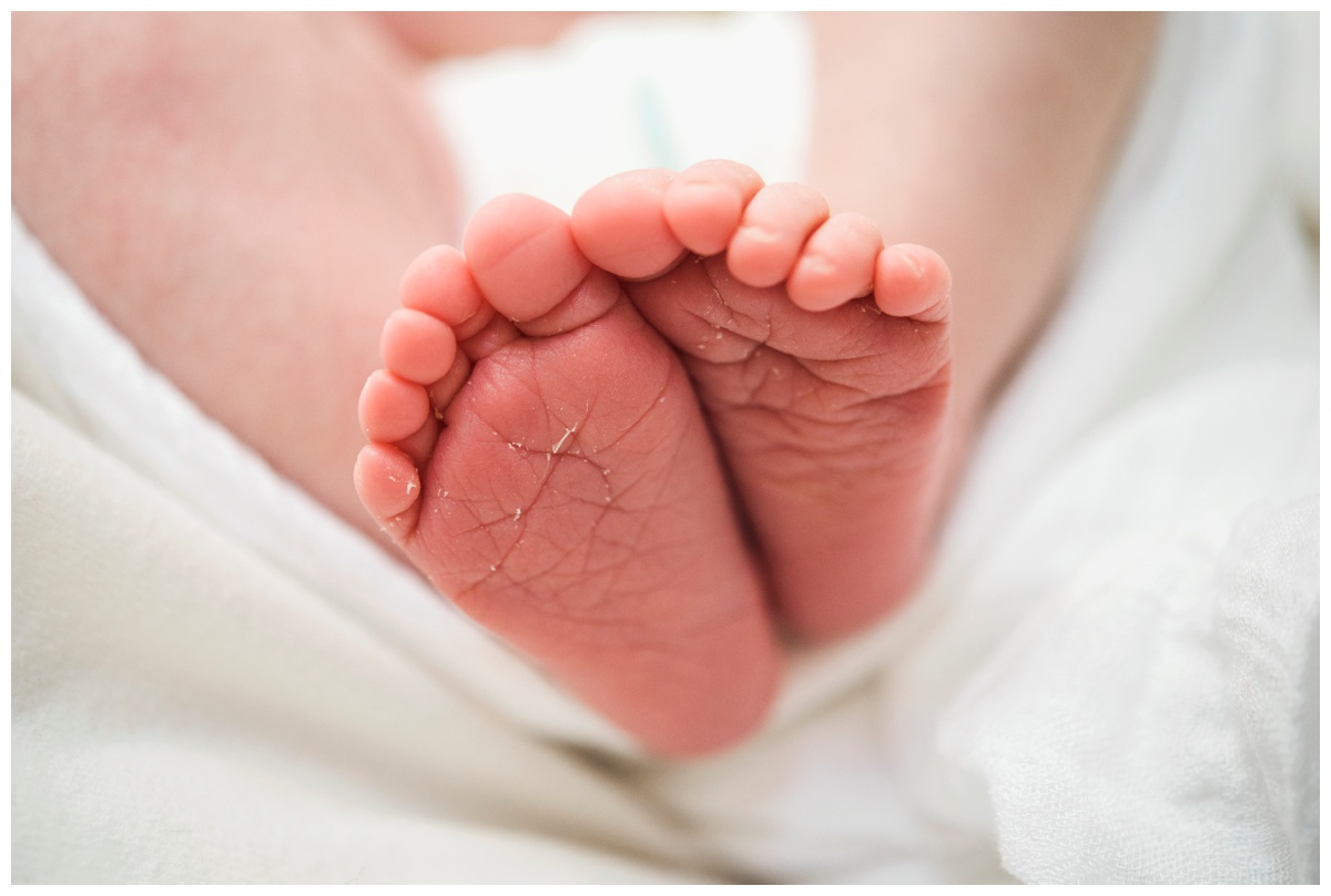 2019-02-09_0036.jpg 2019-02-09_0036.jpg