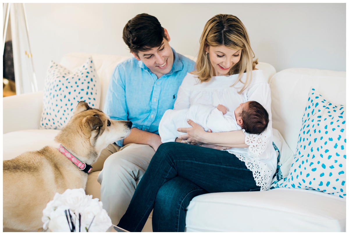 2019-06-12_0034.jpg 2019-06-12_0034.jpg